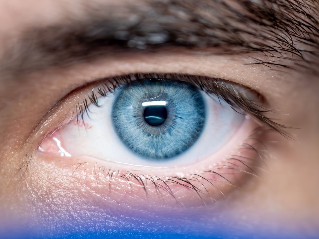 services-01 Macro shot of a human eye showcasing vibrant blue iris and clear details.
