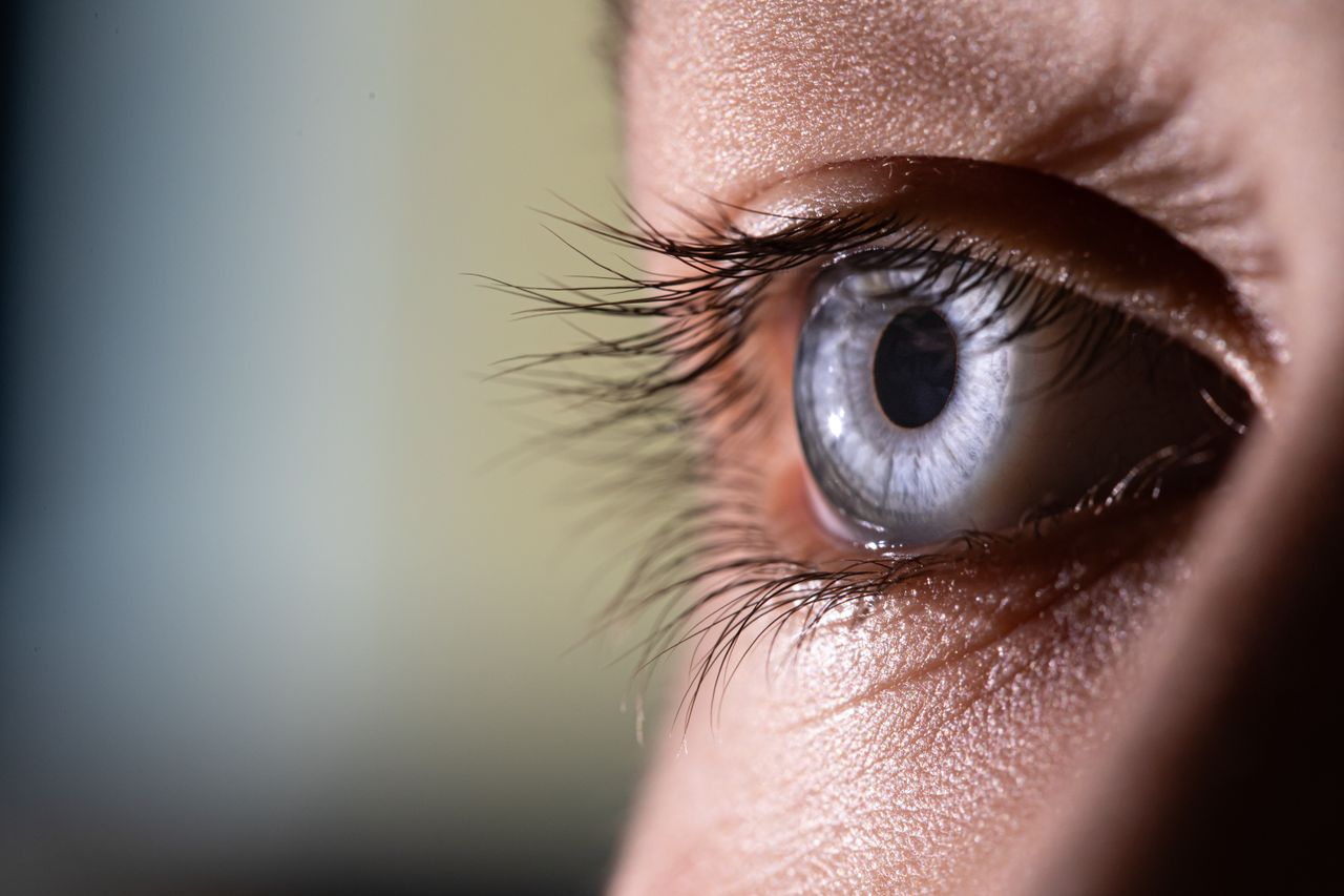about-01 Macro shot of a blue eye highlighting intricate details of the eye and eyelashes.
